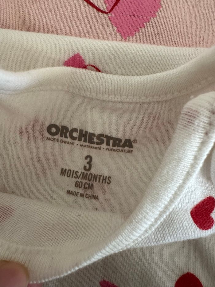 Lot de 3 bodies manche courte - photo numéro 2