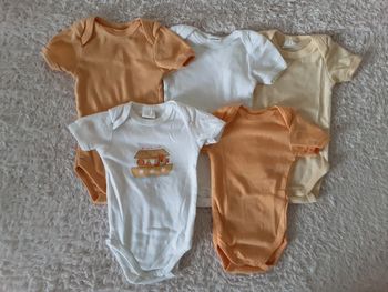 Lot 5 bodies 6 mois