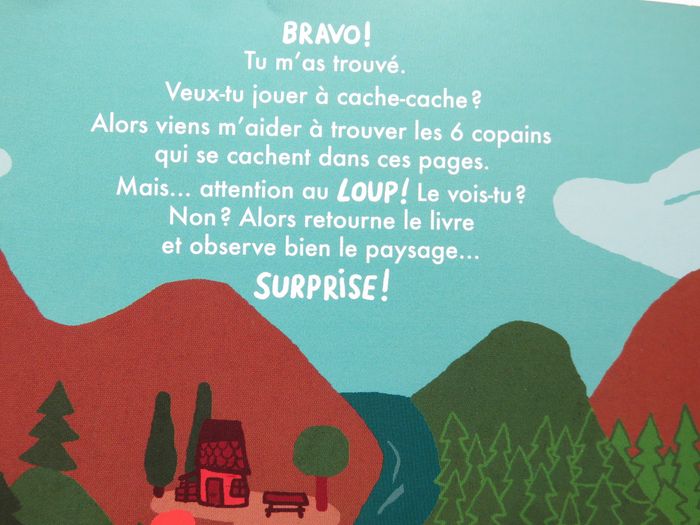 3-5 ans : Cache-cache surprise ! (L'école des loisirs , Cédric Ramadier & Vincent Bourgeau) - photo numéro 5