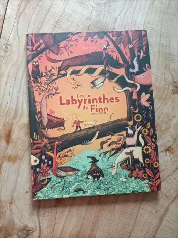 Livre jeu Flinn