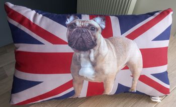 Coussin angleterre bouldog