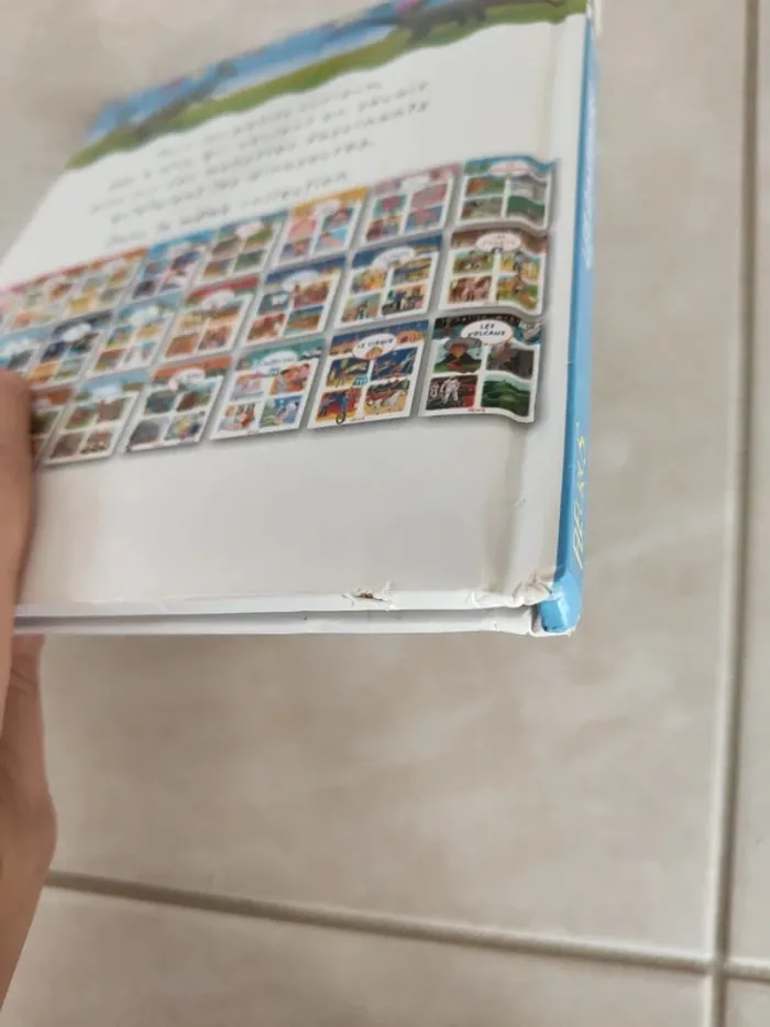 Livre Les dinosaures - photo numéro 4