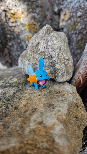 Super figurine Pokemon Nintendo Gobou