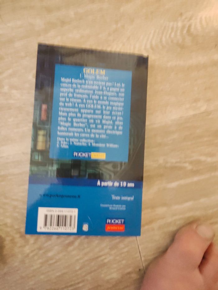 Livre golem - photo numéro 2