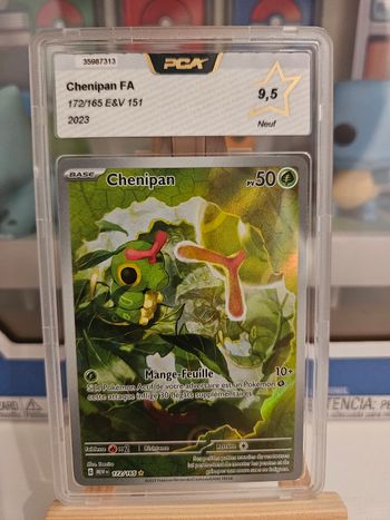 Chenipan 172 9.5