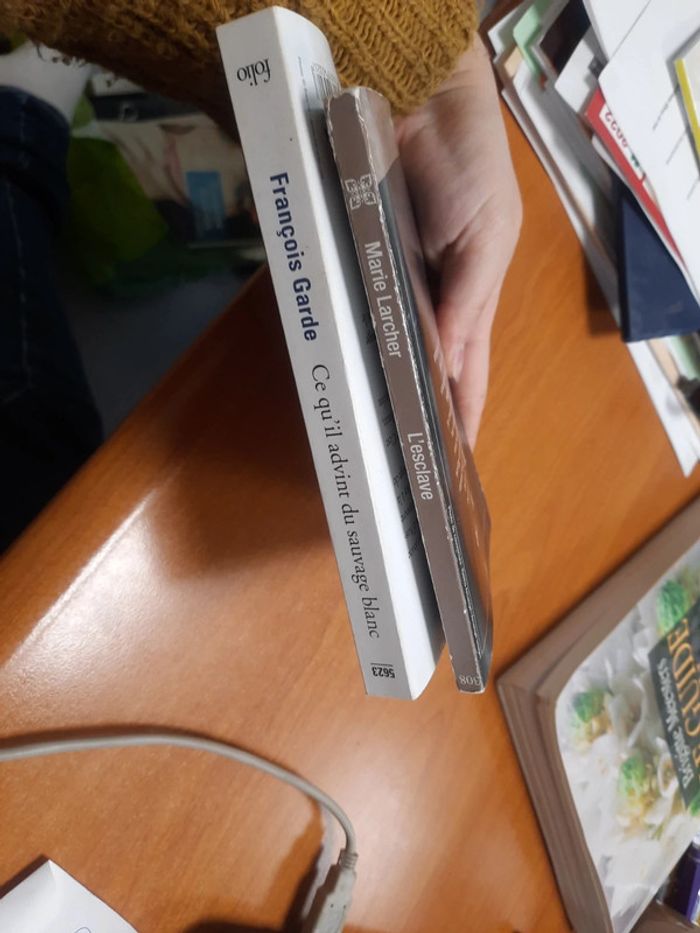 L'esclave Marie l'archer et sauvage blanc - photo numéro 8