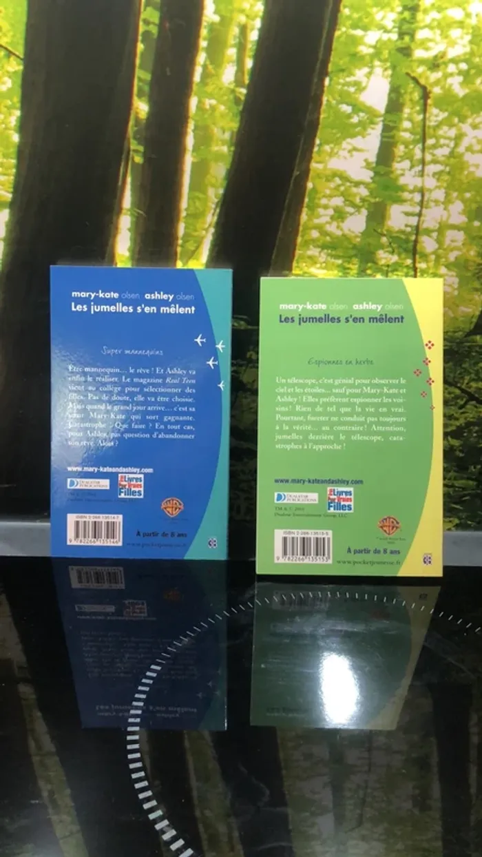 Livres les jumelles s’en mêlent tomes 5 et 6 - photo numéro 2