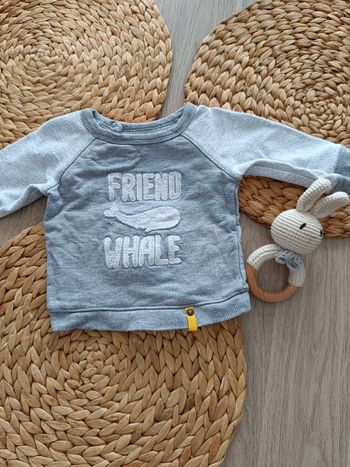 🌼 Pull - 9 mois 🌼