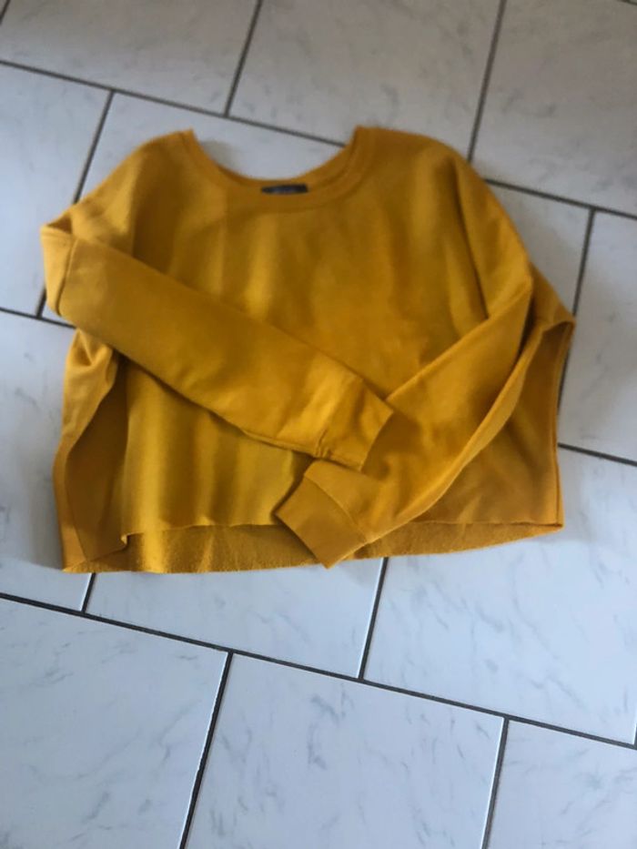 Pull court - photo numéro 3