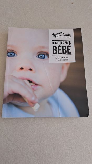 Livre recettes 100 recettes bebe rapide et saine