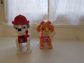 Stella et marcus