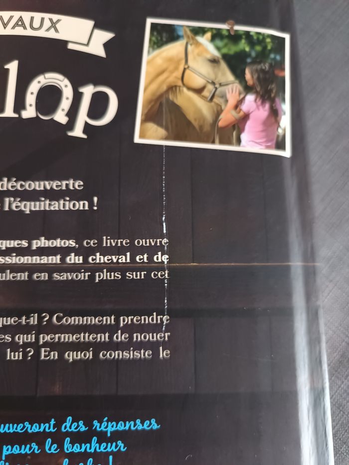 Livre sur les chevaux - photo numéro 2