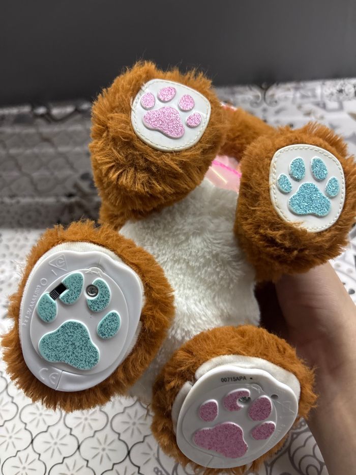 Cocoa chien present - photo numéro 4