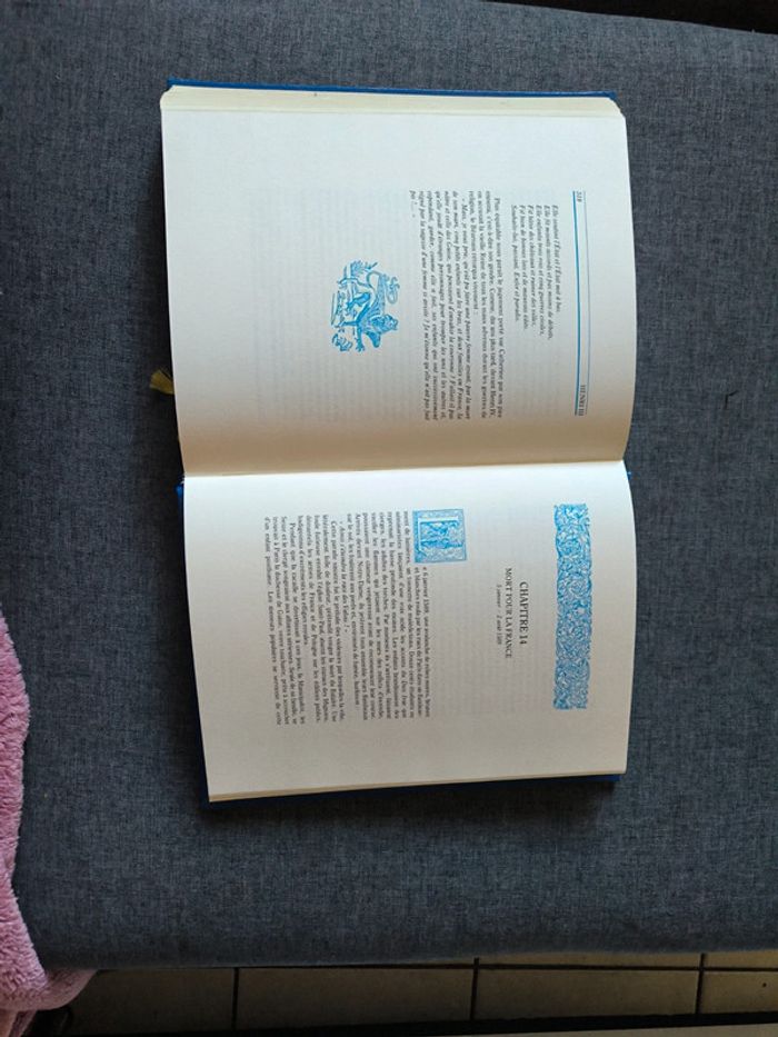 Henri III le méconnu - photo numéro 10