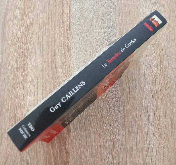 Guy Callens 🫧 Le templier de Cordes - photo numéro 3