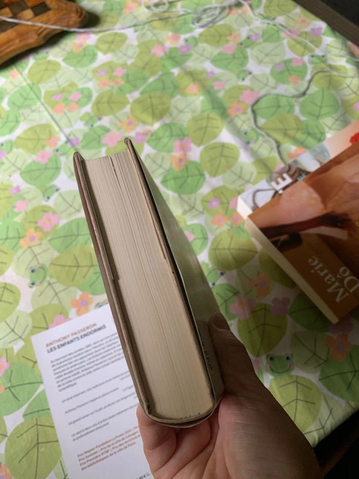 Lot romans - photo numéro 18