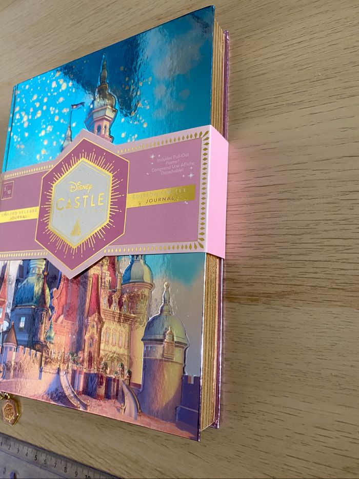 Carnet cahier collection disney princesse raiponce Rapunzel castle chateau tangled édition limitée - photo numéro 4