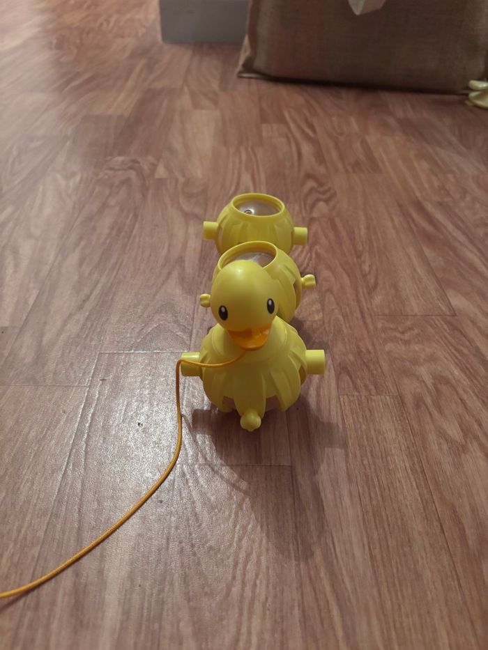 Canard à tirer - photo numéro 2