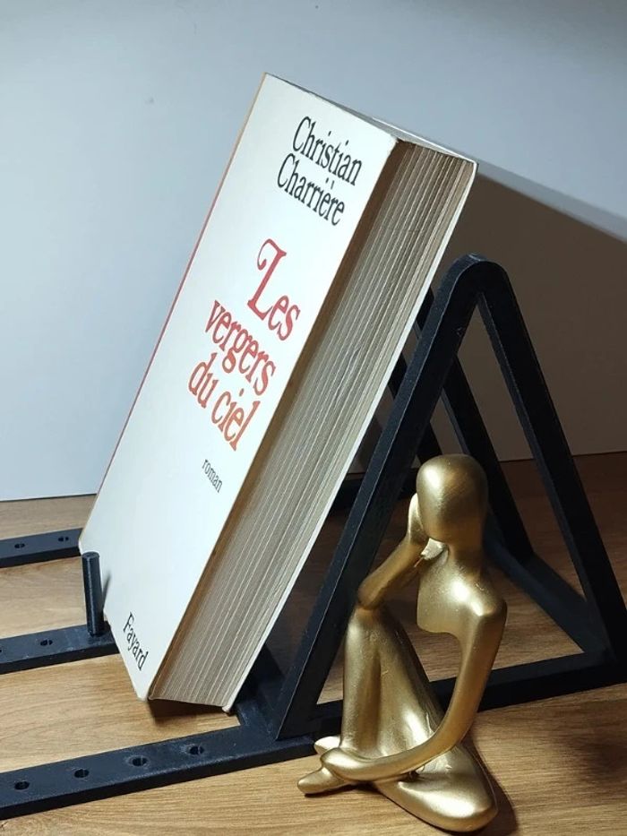 Roman Les vergers du ciel de Christian Charrière - photo numéro 4