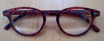 Lunettes de lecture "SPEQ" 