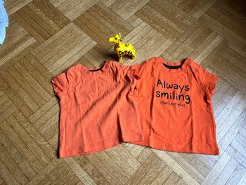 Lot 2 t-shirt neuf Lupilu 2/6mois