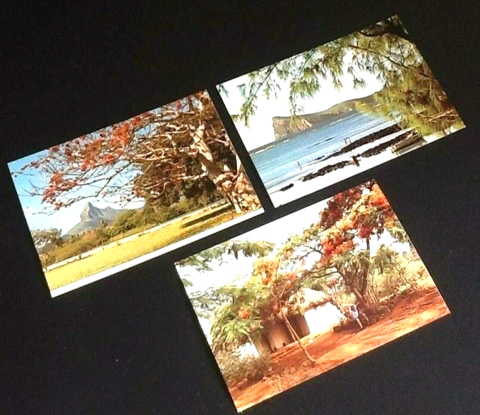 3 Cartes postales Ile Maurice Montagne du Rempart /Le coin de Mire /Une cabane de la Campagne - photo numéro 6