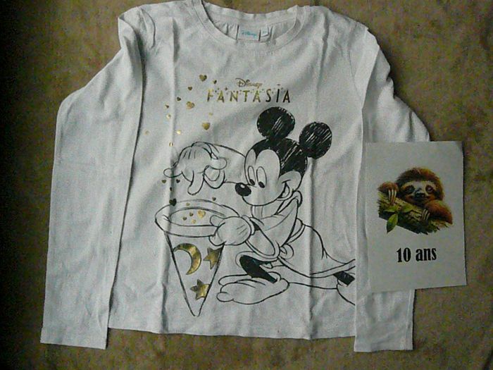 Lot de 2 tee-shirts garçon 10 ans (n°31) - photo numéro 2