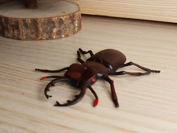 Ferry Lucarne Figurine Animal insecte