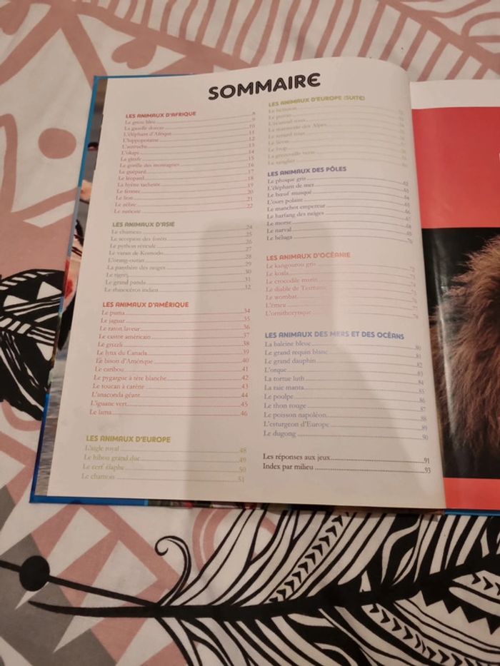 Livre enfant - photo numéro 6