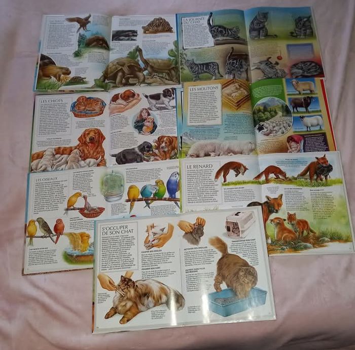 Lot 7 livres la grande imagerie - photo numéro 2