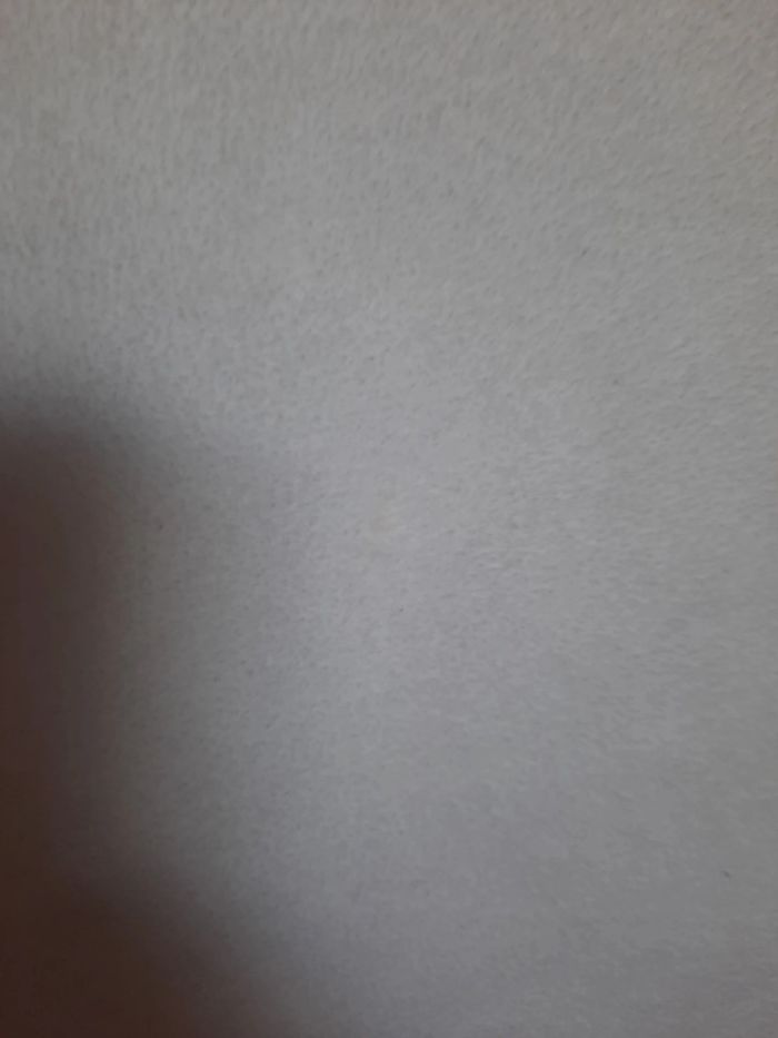 Polaire 10 ans - photo numéro 5