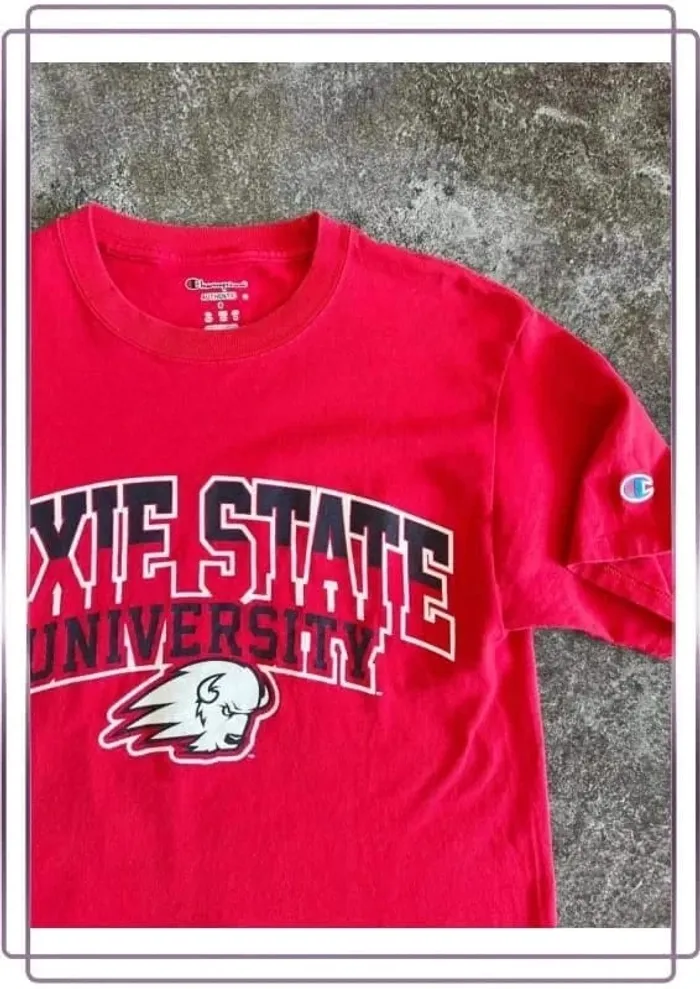 T shirt rouge homme Champion S Dixie University Men T-shirt Maglietta uomo Herren-T-Shirt - photo numéro 2