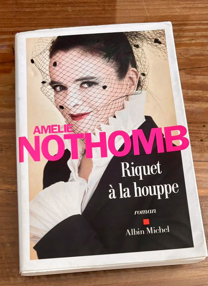 Lot 5 livres Amélie Nothomb - photo numéro 15