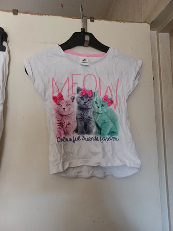 Tee shirt manche courte chat palomino 5 ans