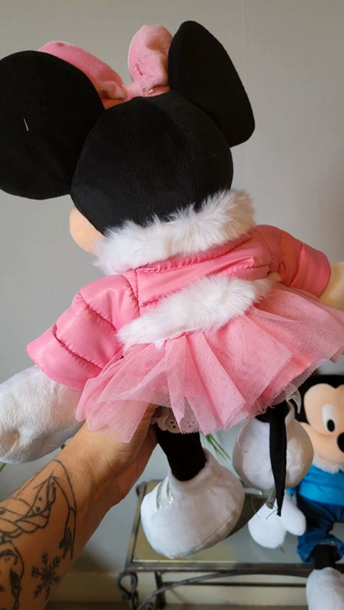 Mickey et Minnie 2011 - photo numéro 4