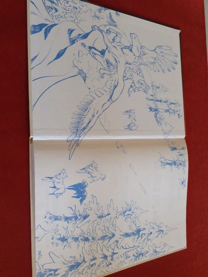 Bd " Le fils du loup " Éric Tetful " éditions Lombard - photo numéro 13