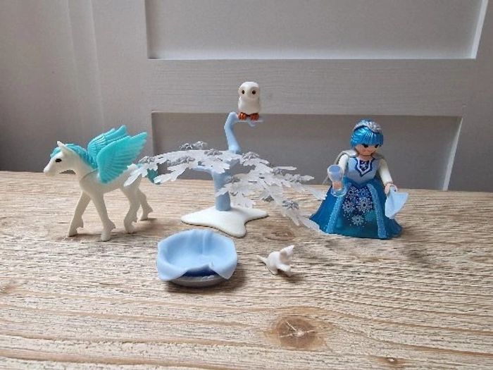 5354 princesse de l'hivers et poulain ailé