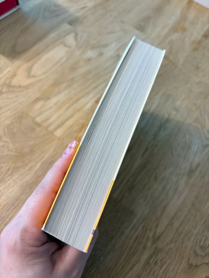 Livre l’inconnu de la Seine - photo numéro 3