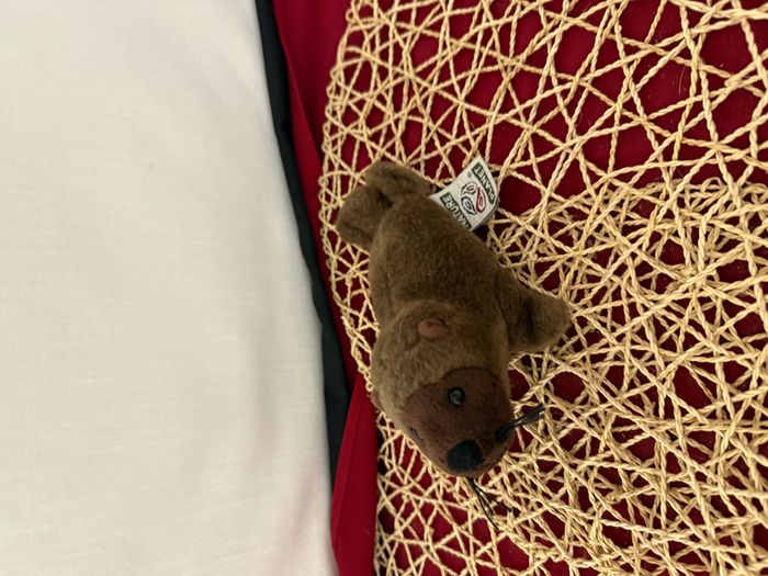 Nature Planet - Peluche - Plan L - Lion de mer - photo numéro 6