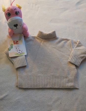 Pull 12 mois 