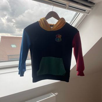 Sweat à capuche Harry Potter