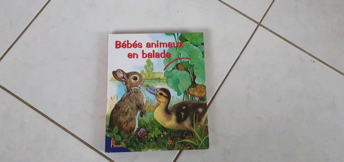 Livre Bébés animaux en balade lya2