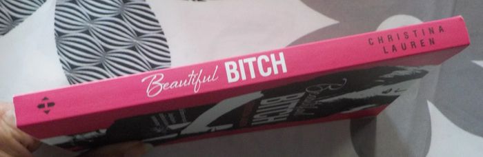 Beautiful bitch de Christina Lauren Ed. Hugo - photo numéro 3