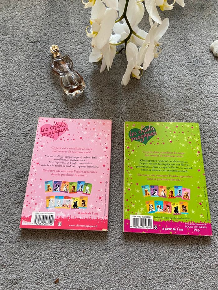 Lots de livres 📚🌺 - photo numéro 6