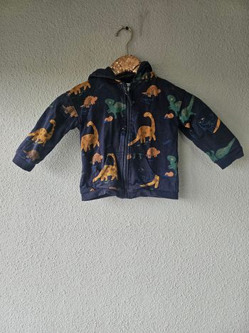 Veste zippée à capuche dinosaures pour garçon