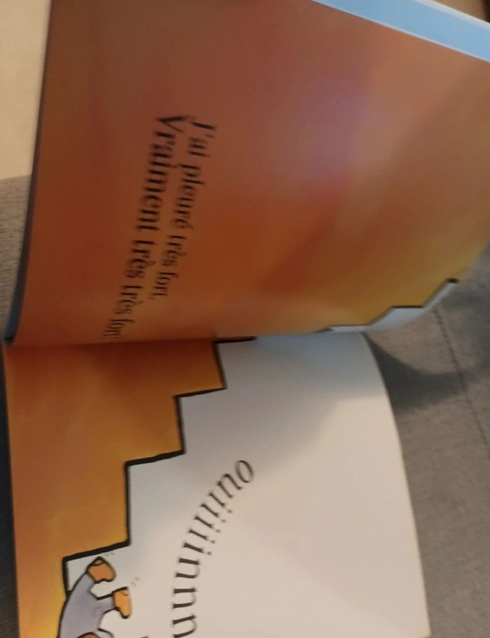 Livre école des loisirs l'avaleur de bobos de Émile jadoul - photo numéro 3