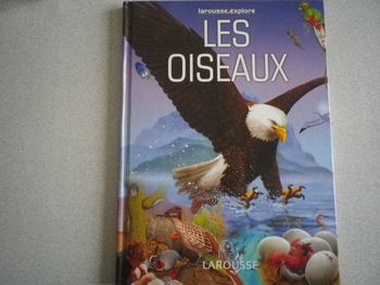 LES OISEAUX