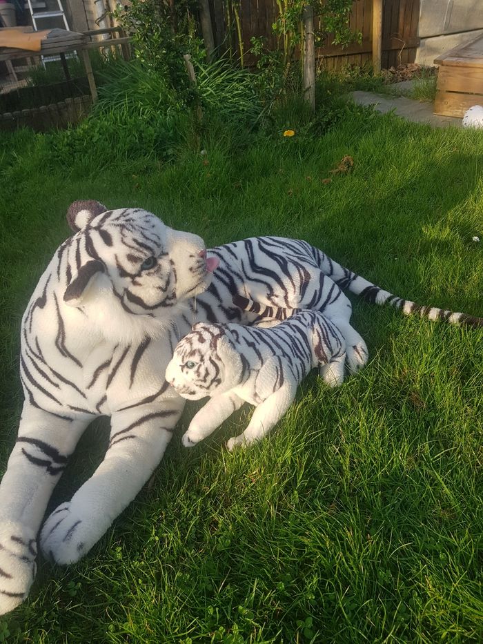 Grande peluche maman et bébé tigre blanc 80cm sans la queue