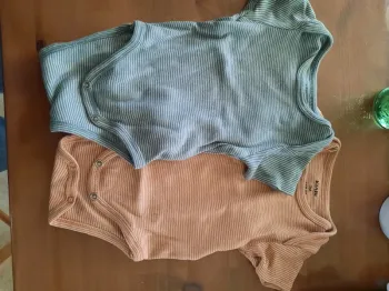 Lot Body