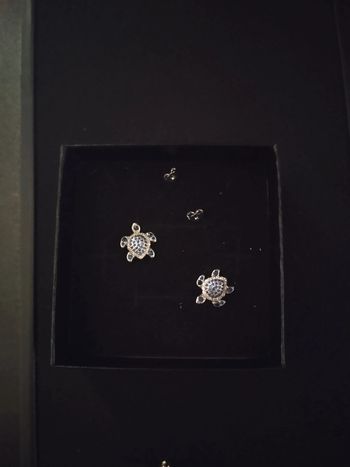 Boucles d'oreilles tortue avec coffret cadeau